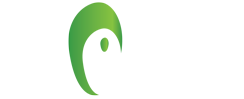 Aura Global